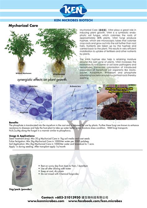 Ag bio tech sdn bhd. Mycorhizal Care | Ken Microbes Biotech Sdn Bhd