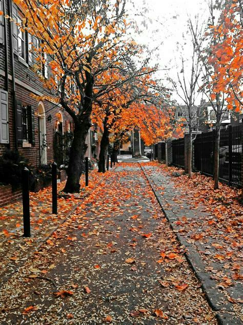 Pin By Lili On Fall In The City Autumn Photography Autumn Aesthetic