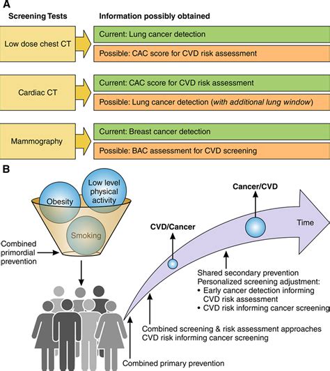 Synergistic Opportunities in the Interplay Between Cancer Screening and