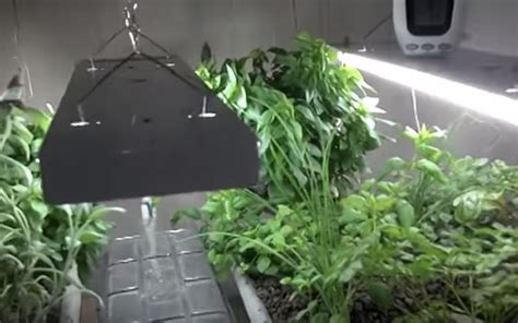 1.1 #1 affordable diy aquaponics system. $150 Easy & Affordable DIY Backyard Aquaponics System ...