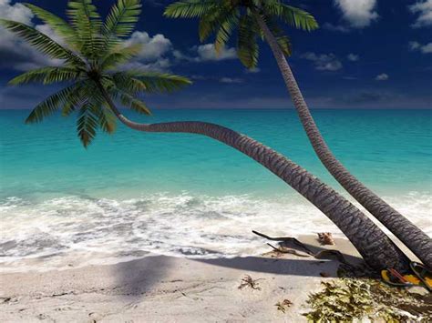 Sandy Beach 3d Screensaver Tranquility Endless Ocean