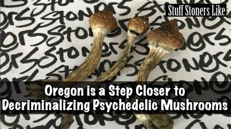 Oregon Is A Step Closer To Decriminalizing Psychedelic Mushrooms