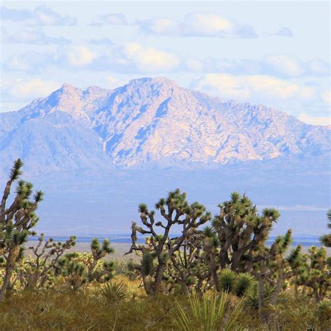 Biden Creates Two New National Monuments In Nevada And Texas