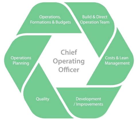 They are accountable for making suitable plans, technology duties and responsibilities. Roles and responsibilities of the ad interim COO, COO a.i ...