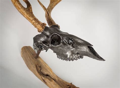Gunmetal Patina On Whitetail Skull Deer Skull Art Deer Skulls Skull Art
