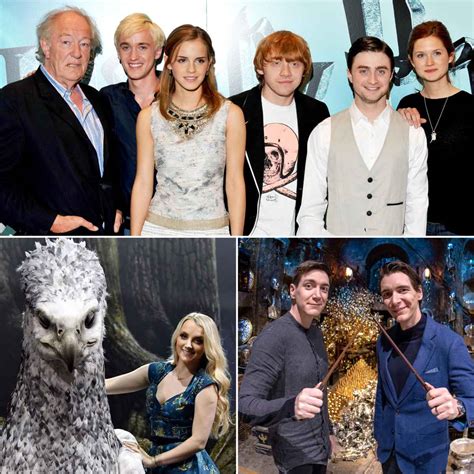 Harry Potter Stars Where Are They Now