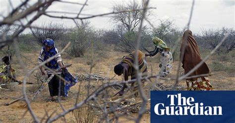 Dadaab Refugee Camps In Kenya 20 Years On In Pictures Global Development The Guardian