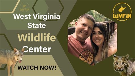 Exploring West Virginias Wildlife A Visit To The West Virginia State