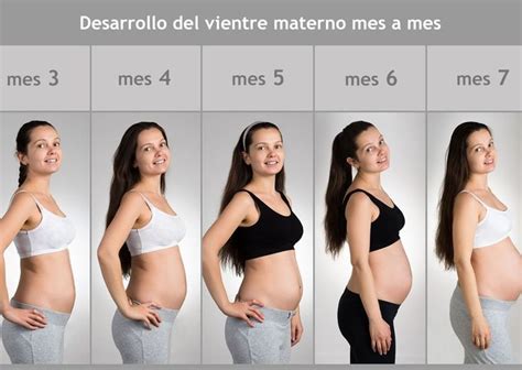 Mes a mes Cómo crece la barriga durante el embarazo Estilo barriga