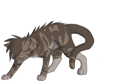 Pin Von Sarah Dachille Auf Warriors Cats Charakterdesign