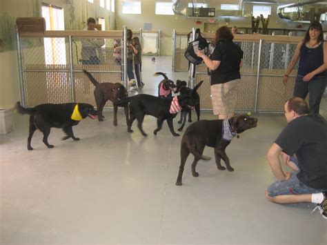 Camp Bow Wow Pittsburgh South