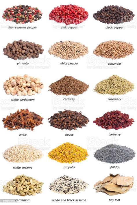 Collection Of Spices With Names Stock Photo Download Image Now Istock