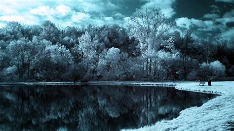 Body Of Water Snow Winter Lake Forest Hd Wallpaper Wallpaper Flare