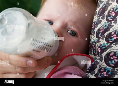 Baby Bottle Milk Formula Powdered Milk Feed Feeding Babies Suck Sucking