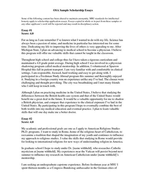 005 Essay Example Expository Sample 2 Examples For Thatsnotus