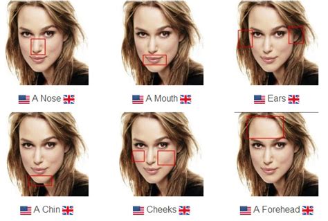 English Is Funtastic Face Vocabulary English Words For Facial Features