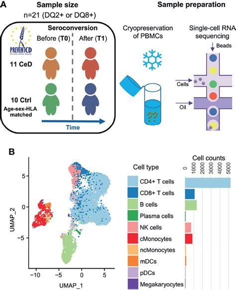 Frontiers Single Cell RNA Sequencing Of Peripheral Blood Mononuclear