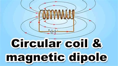 Circular Coil And Magnetic Dipole 12th Std Physics Science Cbse