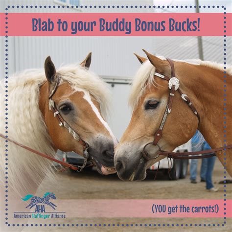 Blab to your Buddies for Bonus Bucks! | American Haflinger Alliance