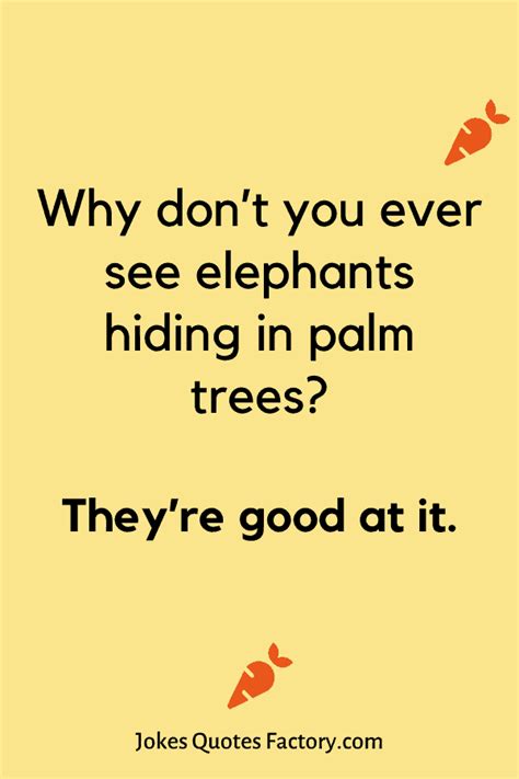75 Funny Tree Puns And Jokes For Nature Lovers Kids Friendly