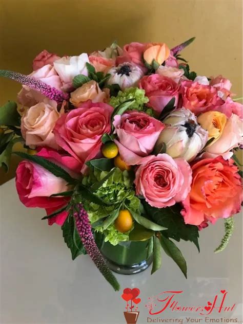 Maybe you would like to learn more about one of these? Order and get wide collection of fresh flowers online ...