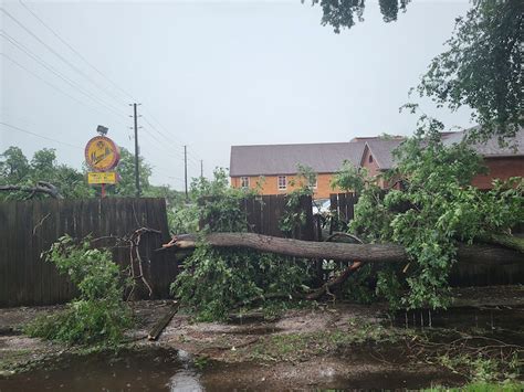 weather severe storm rips through sarnia lambton the sarnia journal