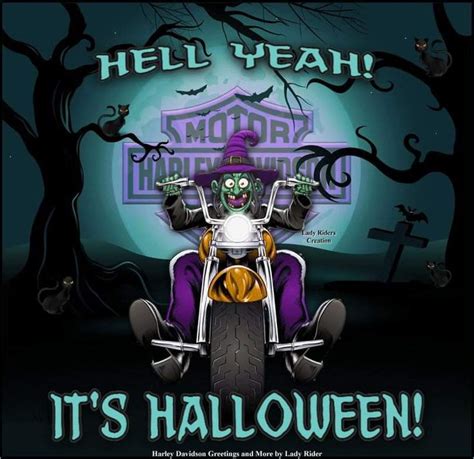 Pin By Lorri Talys On Hd Fall And Halloween Harley Davidson Decals