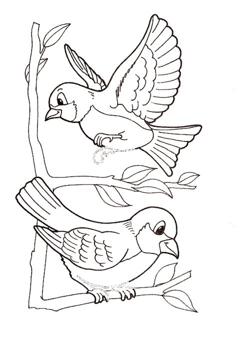 Dibujos De Pajaritos Tiernos Para Colorear - Paramiquotes