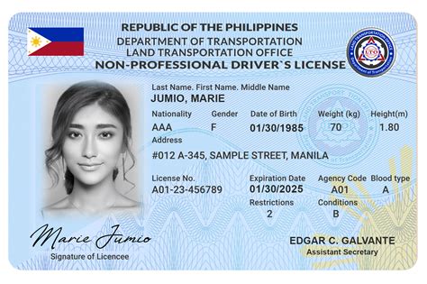 Font Used In Driver License Philippines Pelajaran