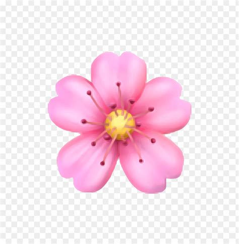 Flower Emoji Transparent Png Transparent With Clear Background Id