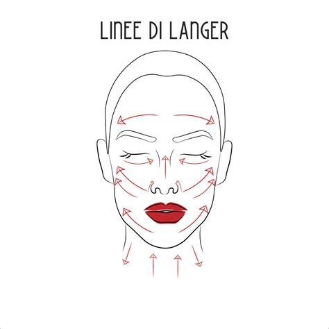 Fasi per la corretta applicazione. Come applicare la crema viso? Ecco i gesti di bellezza ...