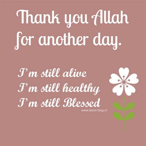 Quotes Thanks To Allah Image Search Reverse Pc