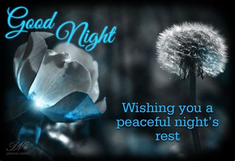 Wishing You A Peaceful Nights Rest Good Night Wishes Premium