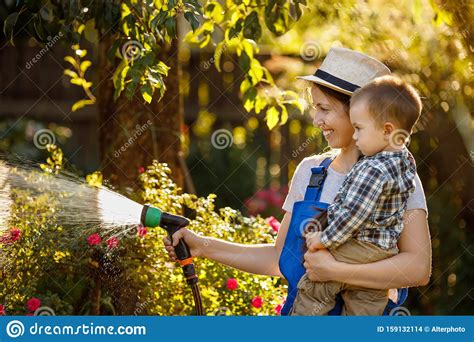 Woman Gardener With Son Watering Garden Stock Photo Image Of Gardener