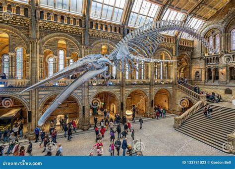 The Natural History Museum In London Editorial Stock Photo Image Of