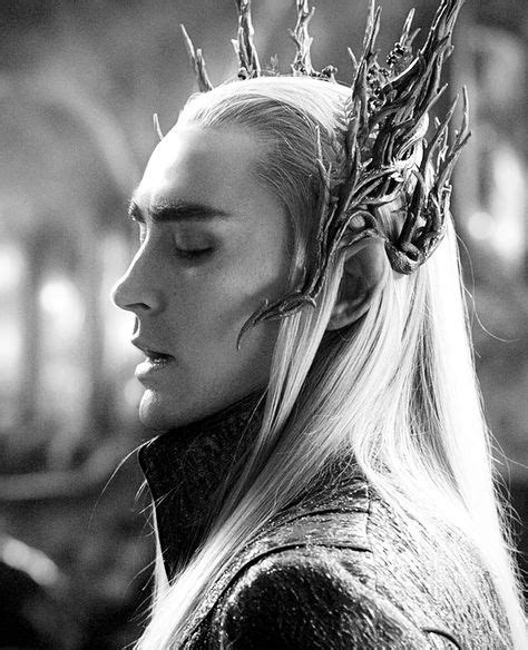 Lee Pace As Thranduil In The Hobbit Look At That Glorious Profile