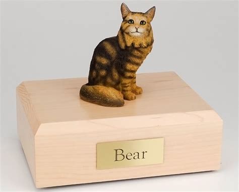 I would like briefly to discuss cat cremation urns. Maine Coon cat cremation figurine urn w/wooden storage box