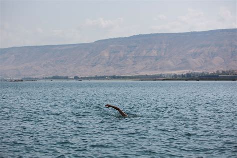 Israel S Sea Of Galilee Swim Ap Photos