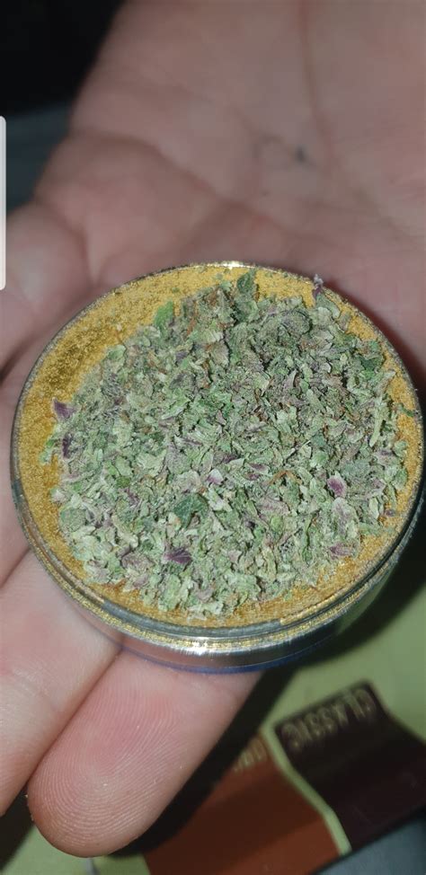 Purple Stardawg Just To Join In🐶 Ruktrees
