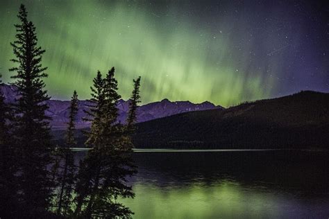 Northern Lights Jasper National Park Alberta Canada Homer Alaska O