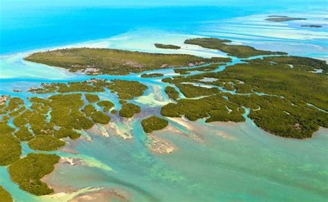 Las Mejores Playas De Los Cayos De La Florida Bekia Viajes