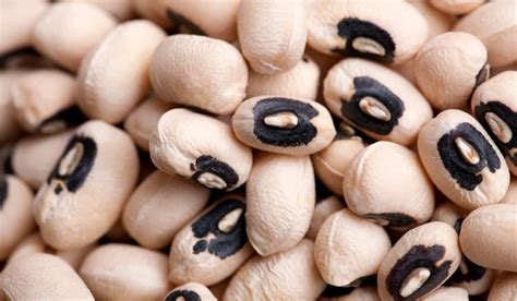 10 Tips For Growing Black Eyed Peas In Your Backyard Yard Surfer