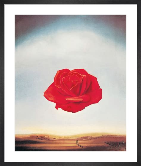 The Meditative Rose Art Print By Salvador Dali King And Mcgaw