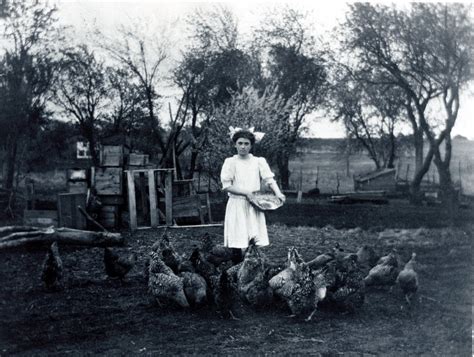 Girl Feeding Chickens Kansas Memory Kansas Historical Society