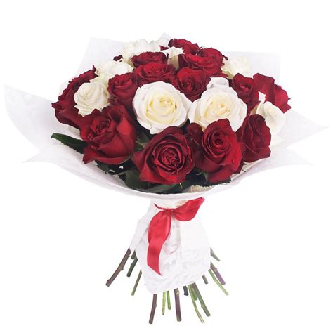 Questo mazzo di 24 rose rosse e bianche a gambo lungo fa sciogliere qualsiasi cuore. Rose San Valentino: Quante rose rosse regalare