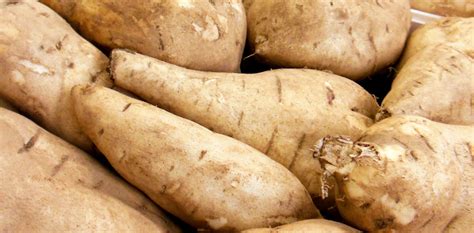 We did not find results for: Patate Archivi - P.M. Gregorelli - Ingrosso e consegna ...