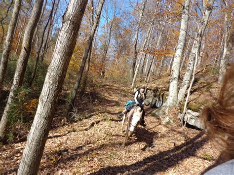50 State Trail Riding Project Mammoth Cave National Parks First