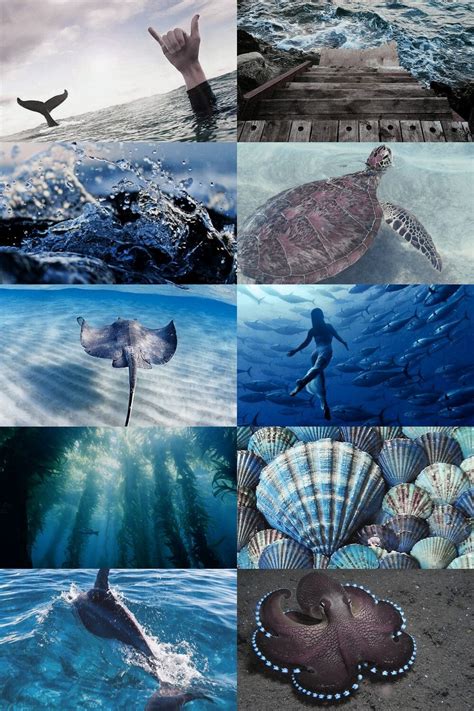 Ocean Life The Moon In A Jar Art Mermaid Aesthetic Aesthetic Collage