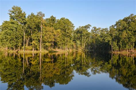 Beautiful Quiet Lake In Chitwan National Park On Nepal Stock Image