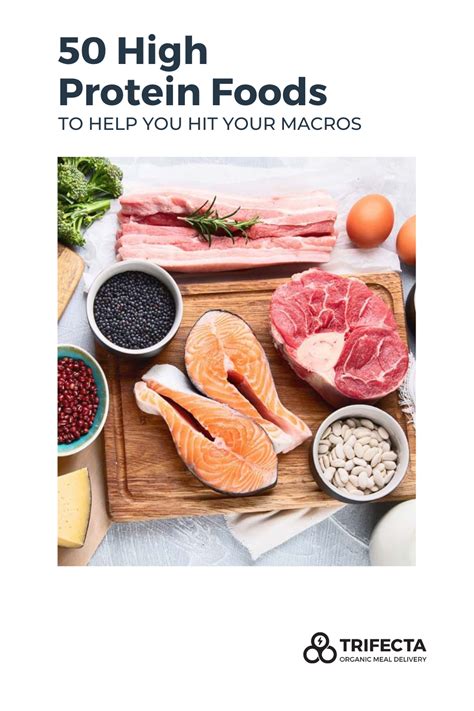 50 High Protein Foods To Help You Hit Your Macros High Protein